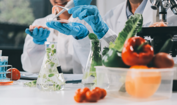 © ARMMY PICCA/iStock/Getty Images Plus