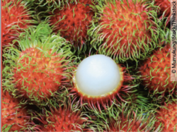 © Mumukung/iStock/Thinkstock