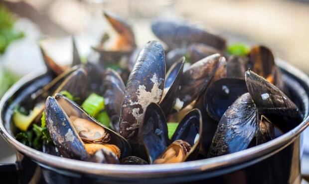 Mit Hilfe von elektromagnetischer Strahlung wurde die Zusammensetzung der Muscheln untersucht. © dmbaker / iStock / Getty Images Plus