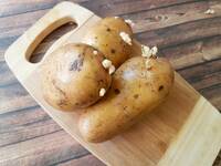 Stark keimende Kartoffeln sind nicht mehr zum Verzehr geeignet. © TanyaLovus / iStock / Thinkstock