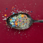 Mikro- und Nanoplastikpartikel (MNP): Erste Erkenntnisse über Auswirkungen im menschlichen Organismus