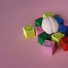 Gehirnforschung: Körpereigene Fette beeinflussen psychische Erkrankungen