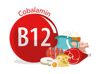 Der Referenzwert für die Vitamin-B12-Zufuhr bei Erwachsenen liegt nun nicht mehr bei 3,0 µg, sondern bei 4,0 µg pro Tag. © AlfaOlga/iStock/Getty Images Plus Der Referenzwert für die Vitamin-B12-Zufuhr bei Erwachsenen liegt nun nicht mehr bei 3,0 µg, sondern bei 4,0 µg pro Tag. © AlfaOlga/iStock/Getty Images Plus