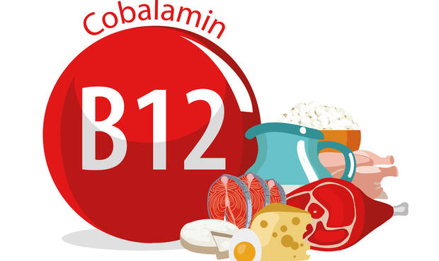 Der Referenzwert für die Vitamin-B12-Zufuhr bei Erwachsenen liegt nun nicht mehr bei 3,0 µg, sondern bei 4,0 µg pro Tag. © AlfaOlga/iStock/Getty Images Plus