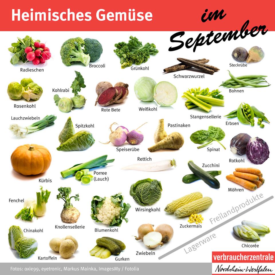 Heimisches Gemuse Im September